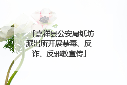嘉祥县公安局纸坊派出所开展禁毒、反诈、反邪教宣传