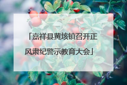 嘉祥县黄垓镇召开正风肃纪警示教育大会