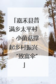 嘉禾县普满乡太平村：小菌菇撑起乡村振兴“致富伞”