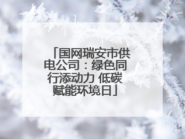 国网瑞安市供电公司：绿色同行添动力 低碳赋能环境日