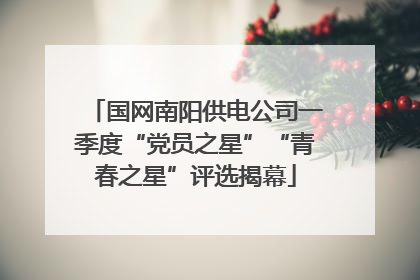 国网南阳供电公司一季度“党员之星”“青春之星”评选揭幕