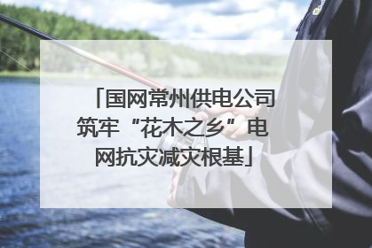 国网常州供电公司筑牢“花木之乡”电网抗灾减灾根基