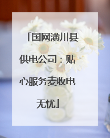 国网潢川县供电公司：贴心服务麦收电无忧