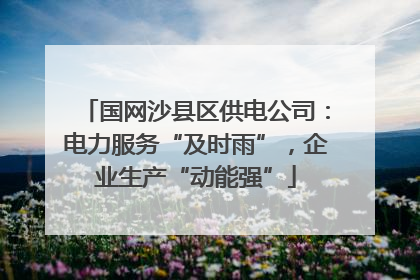 国网沙县区供电公司：电力服务“及时雨”，企业生产“动能强”