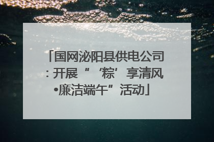 国网泌阳县供电公司：开展“‘粽’享清风 •廉洁端午”活动