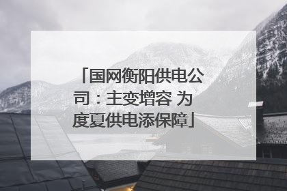 国网衡阳供电公司：主变增容 为度夏供电添保障