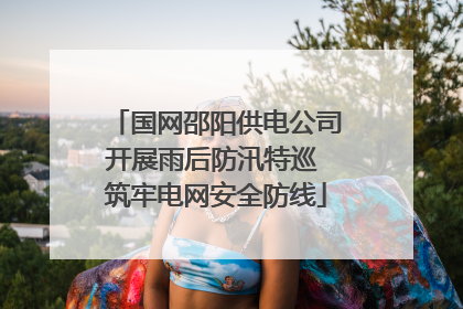 国网邵阳供电公司开展雨后防汛特巡 筑牢电网安全防线