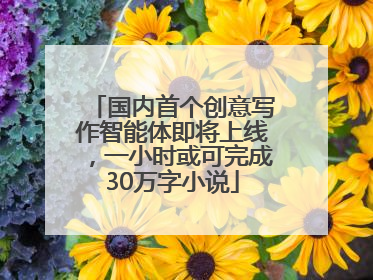 国内首个创意写作智能体即将上线，一小时或可完成30万字小说