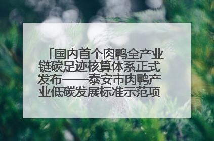 国内首个肉鸭全产业链碳足迹核算体系正式发布——泰安市肉鸭产业低碳发展标准示范项目顺利通过验收