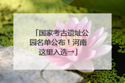 国家考古遗址公园名单公布！河南这里入选→