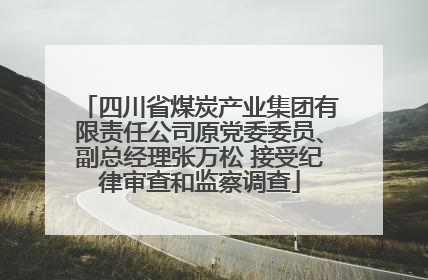 四川省煤炭产业集团有限责任公司原党委委员、副总经理张万松 接受纪律审查和监察调查