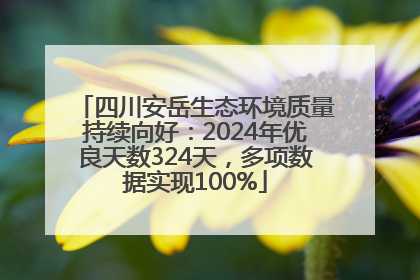 四川安岳生态环境质量持续向好：2024年优良天数324天，多项数据实现100%