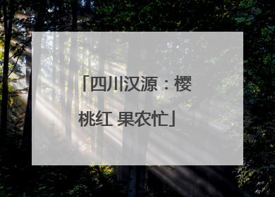 四川汉源：樱桃红 果农忙
