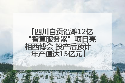 四川自贡沿滩12亿“智算服务器”项目亮相西博会 投产后预计年产值达15亿元