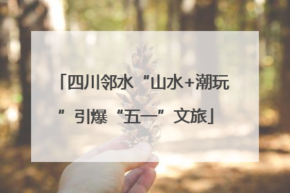 四川邻水“山水+潮玩”引爆“五一”文旅