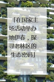 在国家主场活动举办地伊春，探寻老林区的生态密码