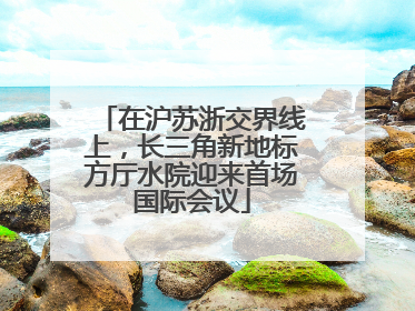 在沪苏浙交界线上，长三角新地标方厅水院迎来首场国际会议