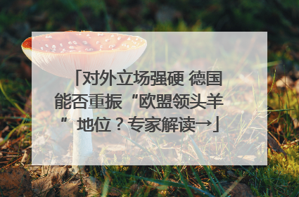 对外立场强硬 德国能否重振“欧盟领头羊”地位？专家解读→