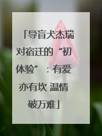 导盲犬杰瑞对宿迁的“初体验”：有爱亦有坎 温情破万难