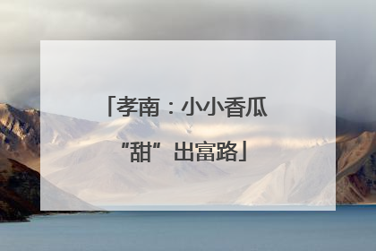 孝南：小小香瓜 “甜”出富路