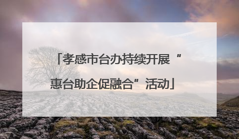 孝感市台办持续开展“惠台助企促融合”活动
