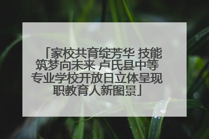 家校共育绽芳华 技能筑梦向未来 卢氏县中等专业学校开放日立体呈现职教育人新图景