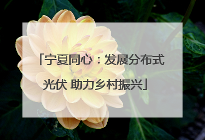 宁夏同心：发展分布式光伏 助力乡村振兴