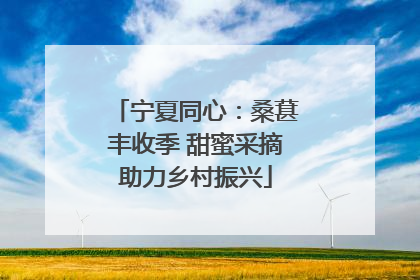 宁夏同心：桑葚丰收季 甜蜜采摘助力乡村振兴