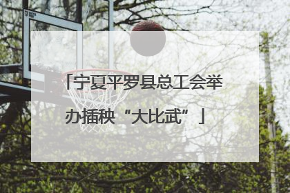 宁夏平罗县总工会举办插秧“大比武”