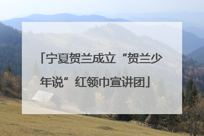 宁夏贺兰成立“贺兰少年说”红领巾宣讲团