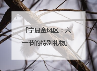 宁夏金凤区：六一节的特别礼物
