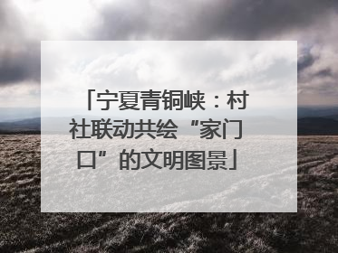 宁夏青铜峡：村社联动共绘“家门口”的文明图景