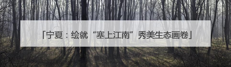 宁夏：绘就“塞上江南”秀美生态画卷