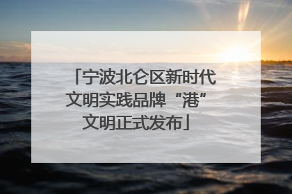 宁波北仑区新时代文明实践品牌“港”文明正式发布