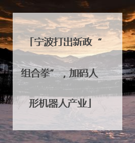 宁波打出新政“组合拳”，加码人形机器人产业