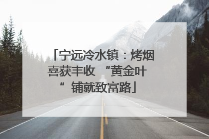 宁远冷水镇：烤烟喜获丰收 “黄金叶”铺就致富路