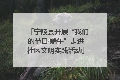 宁陵县开展“我们的节日·端午”走进社区文明实践活动