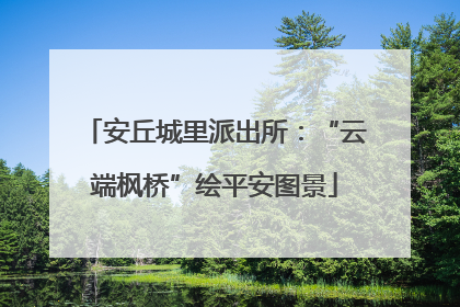 安丘城里派出所：“云端枫桥”绘平安图景