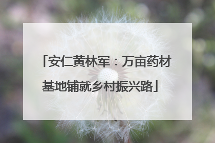 安仁黄林军：万亩药材基地铺就乡村振兴路
