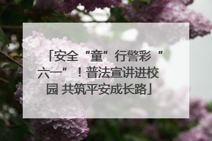 安全“童”行警彩“六一”！普法宣讲进校园 共筑平安成长路