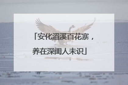 安化滔溪百花寨，养在深闺人未识