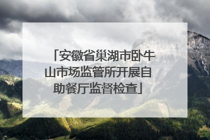 安徽省巢湖市卧牛山市场监管所开展自助餐厅监督检查