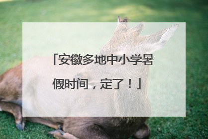 安徽多地中小学暑假时间，定了！