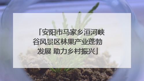 安阳市马家乡洹河峡谷风景区林果产业蓬勃发展 助力乡村振兴