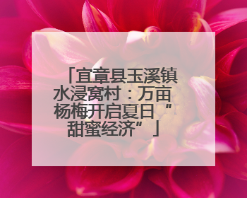 宜章县玉溪镇水浸窝村：万亩杨梅开启夏日“甜蜜经济”