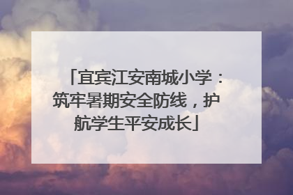宜宾江安南城小学：筑牢暑期安全防线，护航学生平安成长
