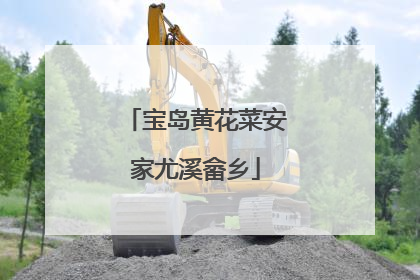 宝岛黄花菜安家尤溪畲乡