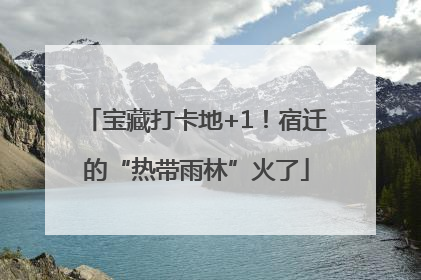 宝藏打卡地+1！宿迁的“热带雨林”火了