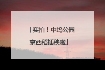 实拍！中坞公园京西稻插秧啦