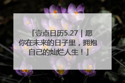 壹点日历5.27｜愿你在未来的日子里，拥抱自己的灿烂人生！